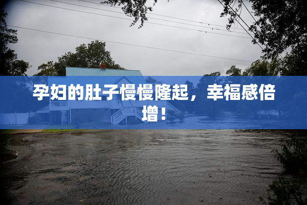孕妇的肚子慢慢隆起，幸福感倍增！
