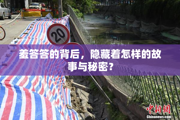 羞答答的背后，隐藏着怎样的故事与秘密？
