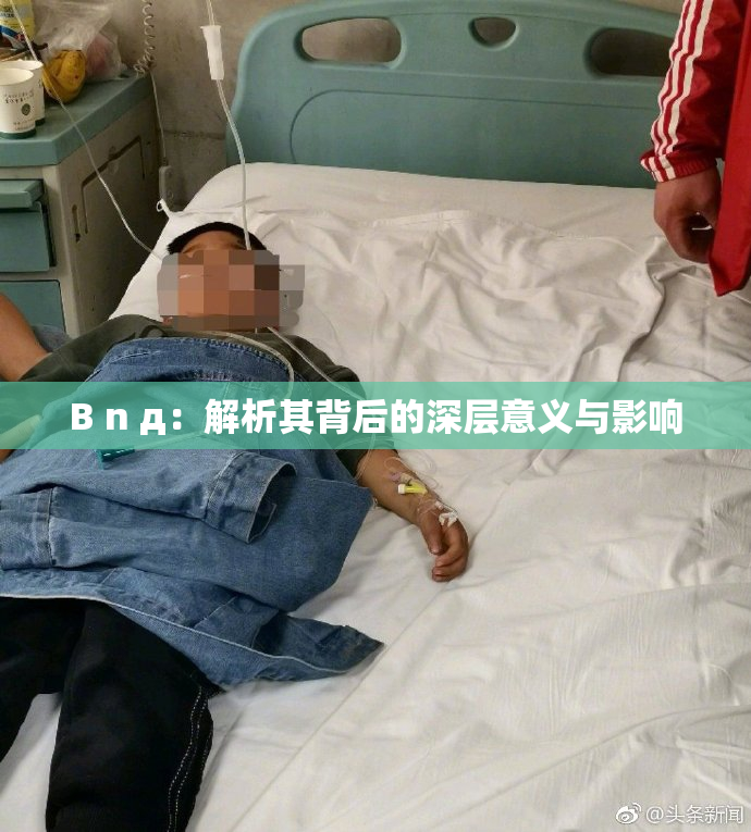 B n д：解析其背后的深层意义与影响