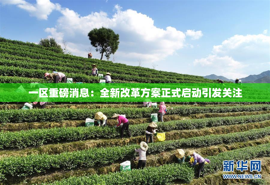 一区重磅消息：全新改革方案正式启动引发关注