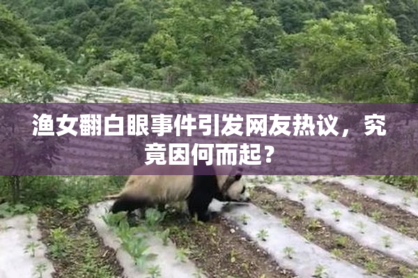 渔女翻白眼事件引发网友热议，究竟因何而起？