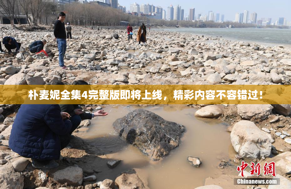 朴麦妮全集4完整版即将上线，精彩内容不容错过！
