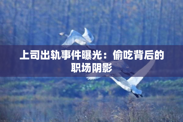 上司出轨事件曝光：偷吃背后的职场阴影
