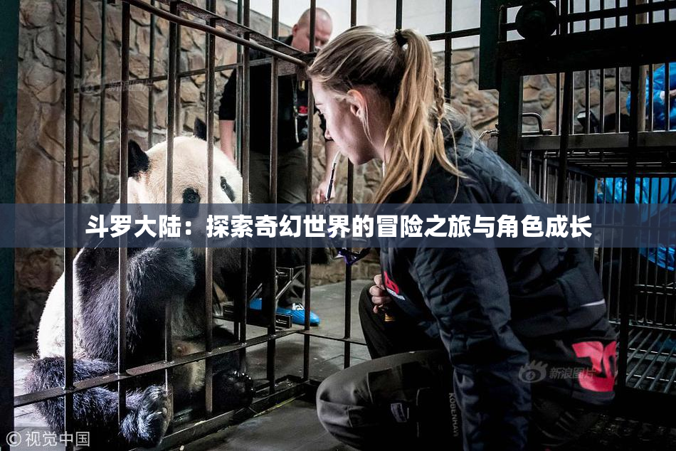 斗罗大陆：探索奇幻世界的冒险之旅与角色成长