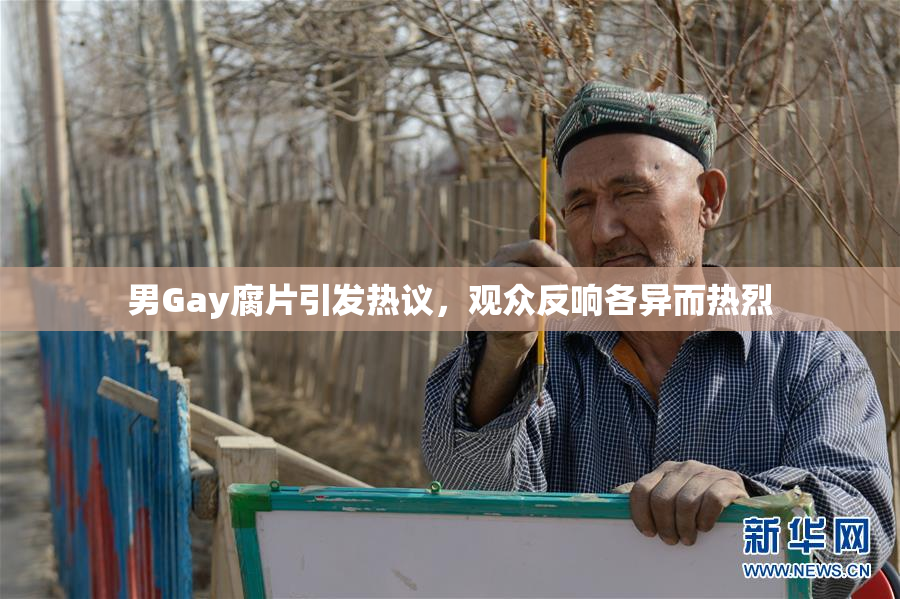 男Gay腐片引发热议，观众反响各异而热烈