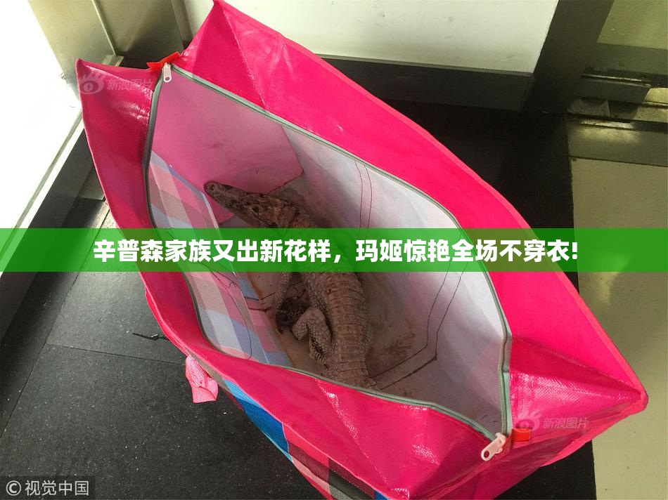 辛普森家族又出新花样，玛姬惊艳全场不穿衣!