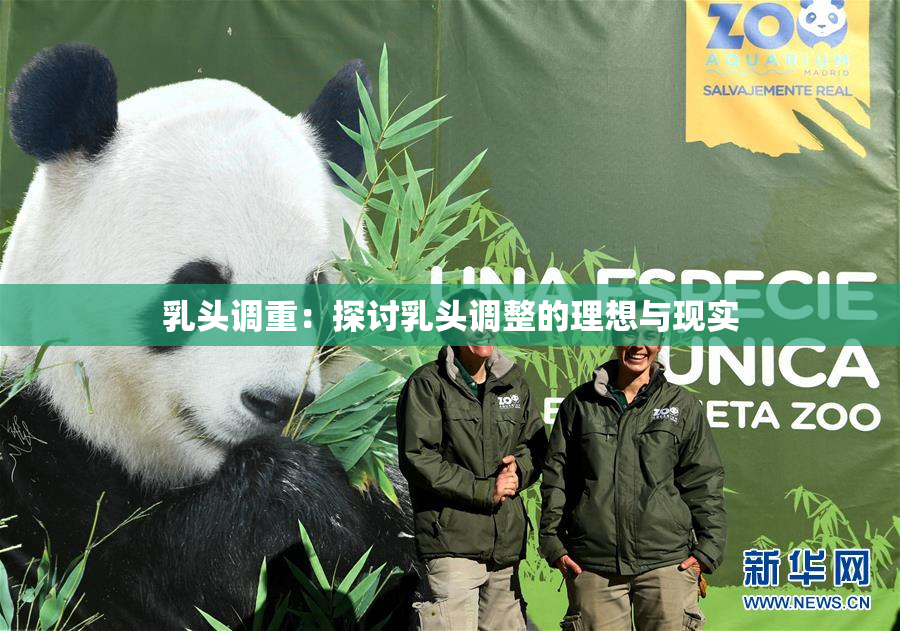 乳头调重：探讨乳头调整的理想与现实