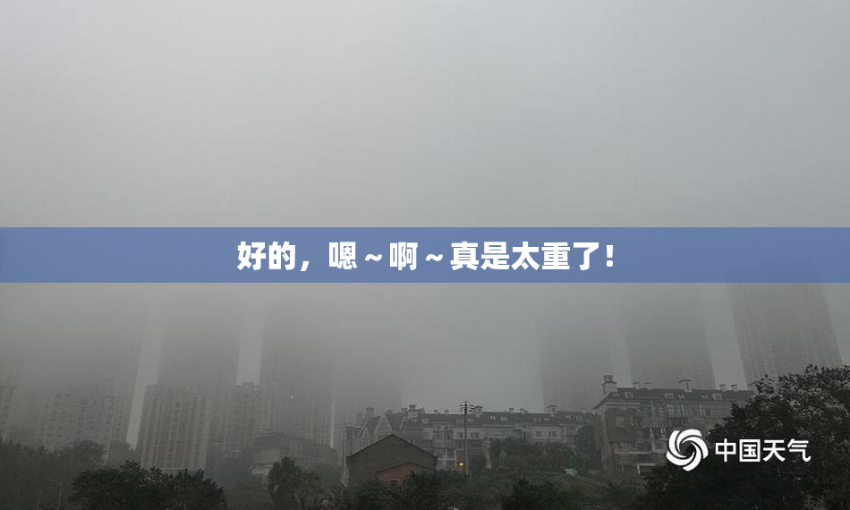 好的，嗯～啊～真是太重了！