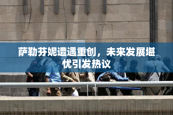 萨勒芬妮遭遇重创，未来发展堪忧引发热议