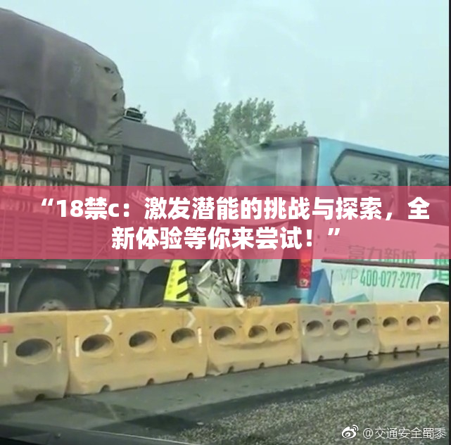 “18禁c：激发潜能的挑战与探索，全新体验等你来尝试！”