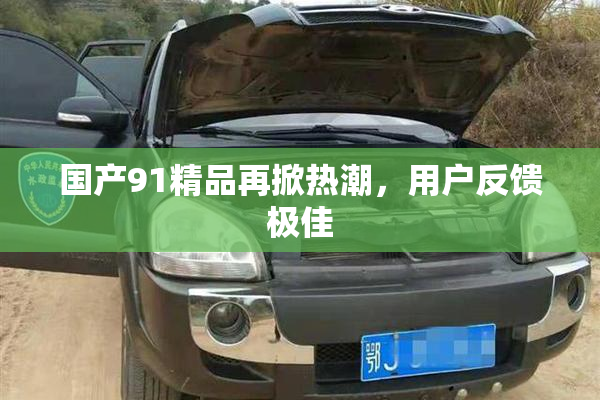 国产91精品再掀热潮，用户反馈极佳