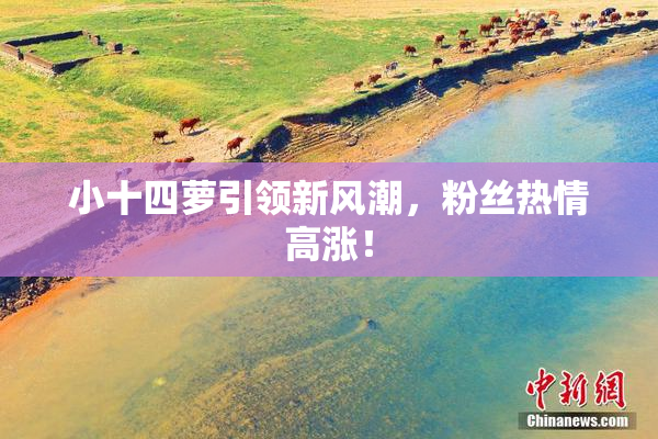 小十四萝引领新风潮，粉丝热情高涨！