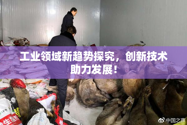 工业领域新趋势探究，创新技术助力发展！