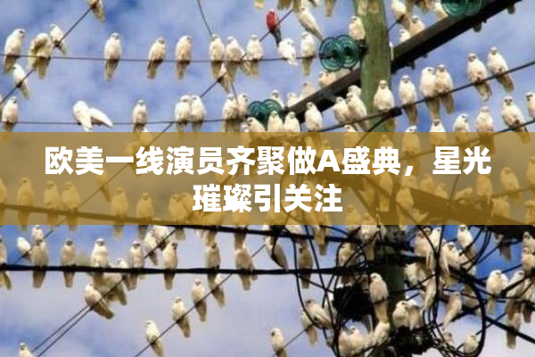 欧美一线演员齐聚做A盛典，星光璀璨引关注