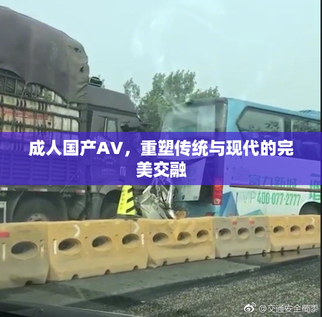 成人国产AV，重塑传统与现代的完美交融