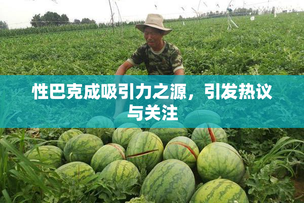 性巴克成吸引力之源，引发热议与关注