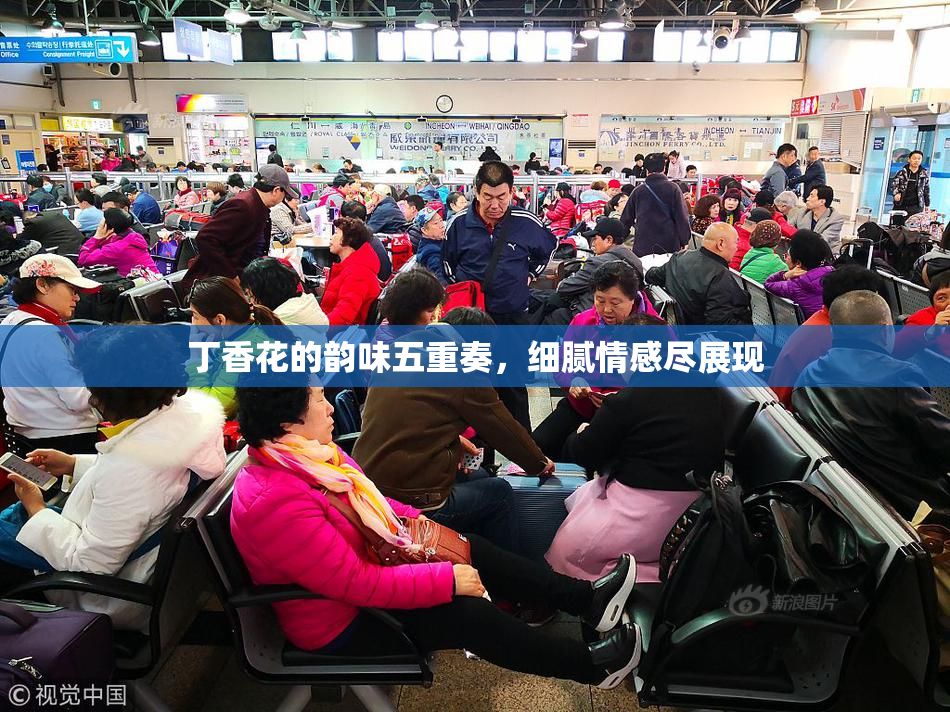 丁香花的韵味五重奏，细腻情感尽展现