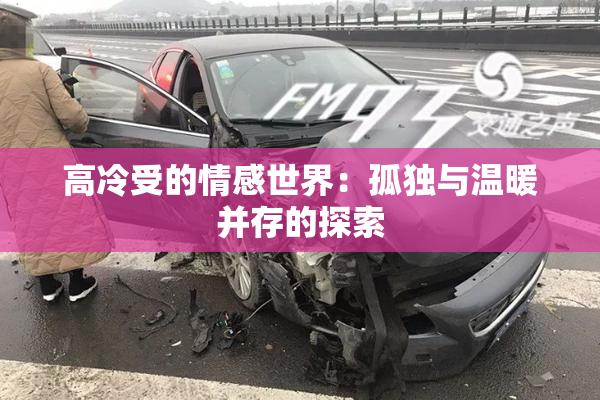 高冷受的情感世界：孤独与温暖并存的探索