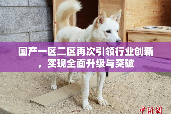 国产一区二区再次引领行业创新，实现全面升级与突破
