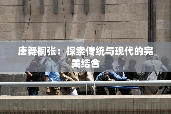 唐舞桐张：探索传统与现代的完美结合