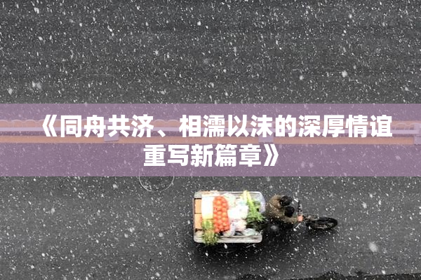 《同舟共济、相濡以沫的深厚情谊重写新篇章》