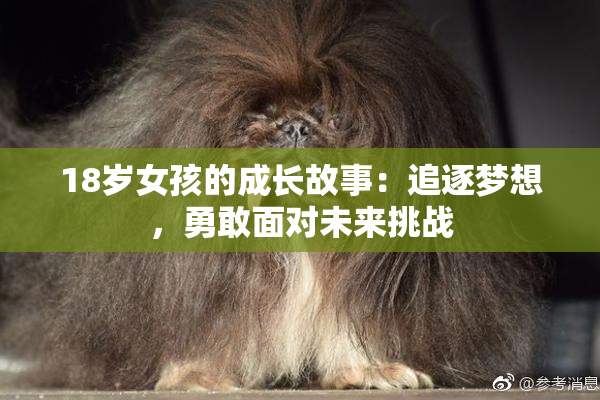 18岁女孩的成长故事：追逐梦想，勇敢面对未来挑战