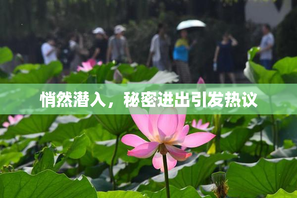 悄然潜入，秘密进出引发热议