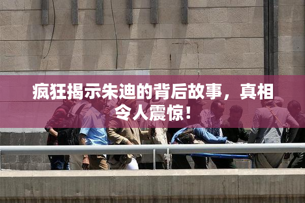 疯狂揭示朱迪的背后故事，真相令人震惊！