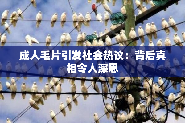 成人毛片引发社会热议：背后真相令人深思