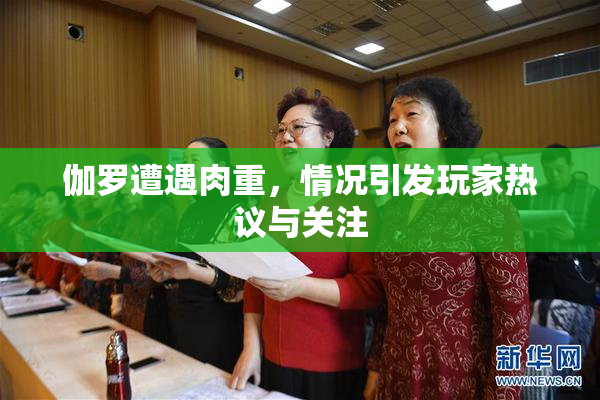 伽罗遭遇肉重，情况引发玩家热议与关注