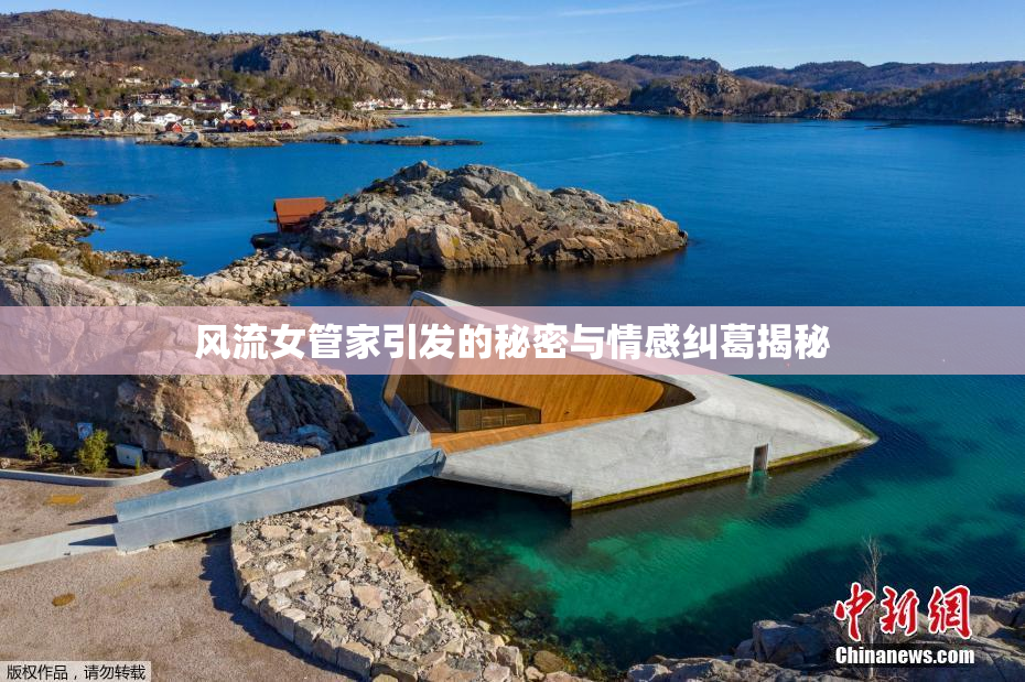 风流女管家引发的秘密与情感纠葛揭秘