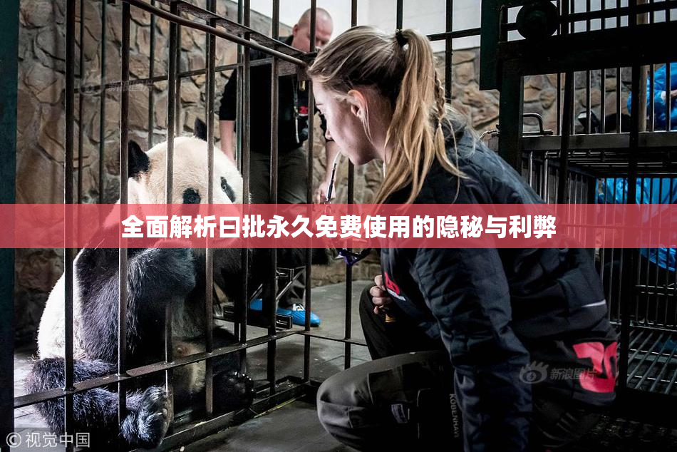 全面解析曰批永久免费使用的隐秘与利弊