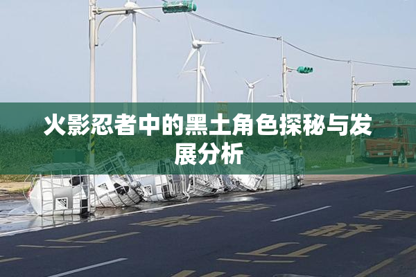 火影忍者中的黑土角色探秘与发展分析