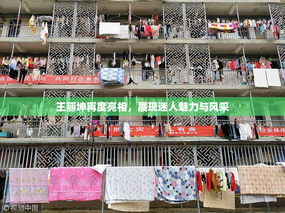 王丽坤再度亮相，展现迷人魅力与风采