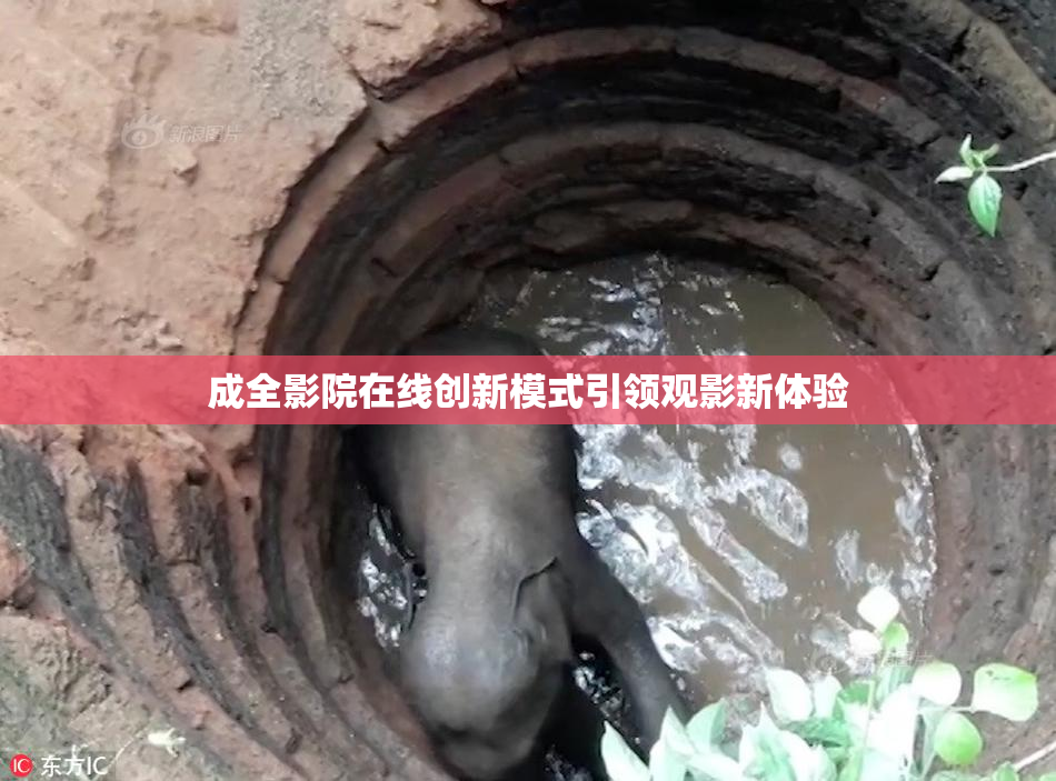 成全影院在线创新模式引领观影新体验