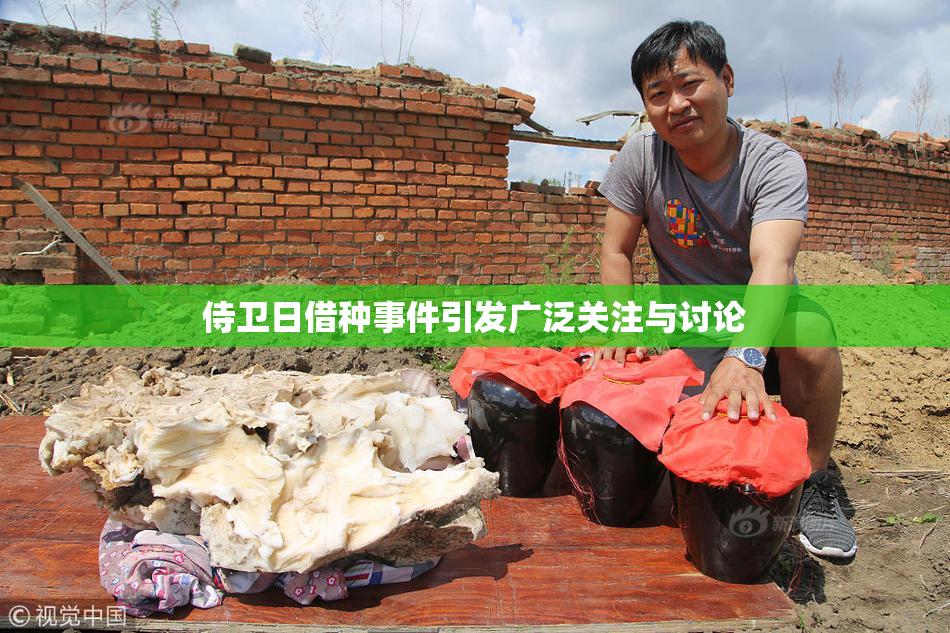 侍卫日借种事件引发广泛关注与讨论