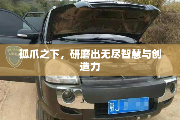 孤爪之下，研磨出无尽智慧与创造力