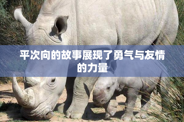 平次向的故事展现了勇气与友情的力量