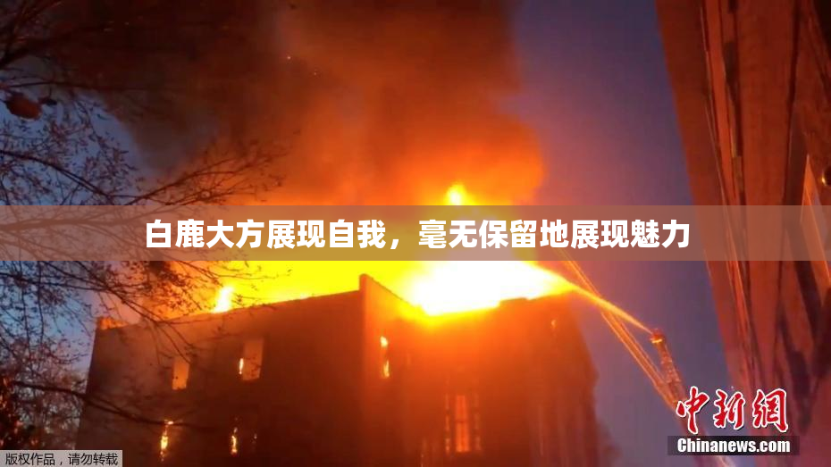 白鹿大方展现自我，毫无保留地展现魅力