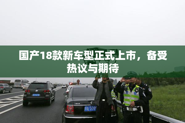 国产18款新车型正式上市，备受热议与期待
