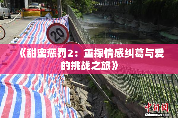 《甜蜜惩罚2：重探情感纠葛与爱的挑战之旅》