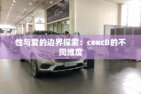 性与爱的边界探索：сексB的不同维度