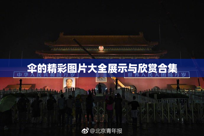 伞的精彩图片大全展示与欣赏合集