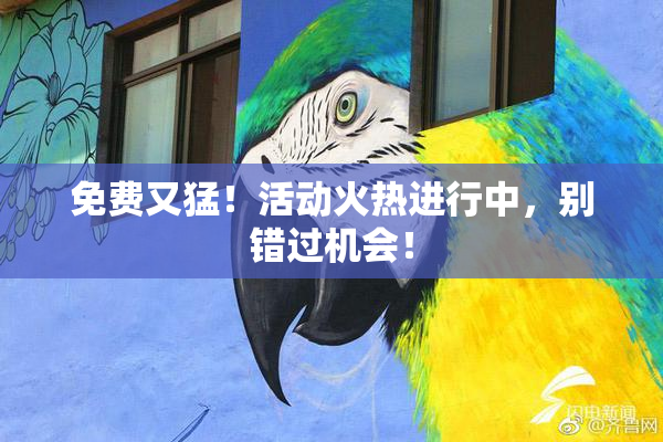 免费又猛！活动火热进行中，别错过机会！