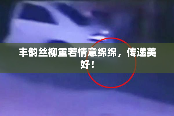 丰韵丝柳重若情意绵绵，传递美好！
