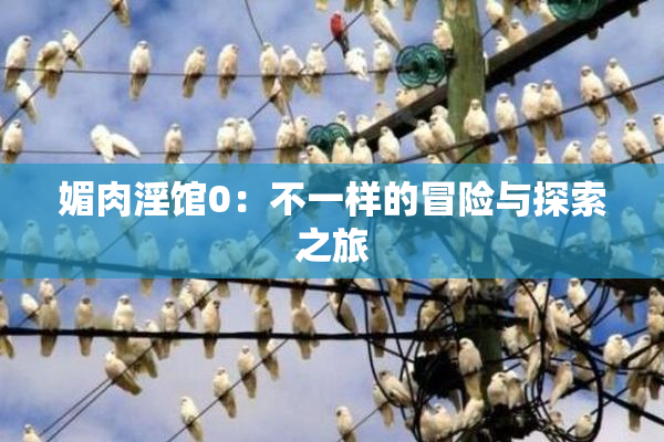 媚肉淫馆0：不一样的冒险与探索之旅