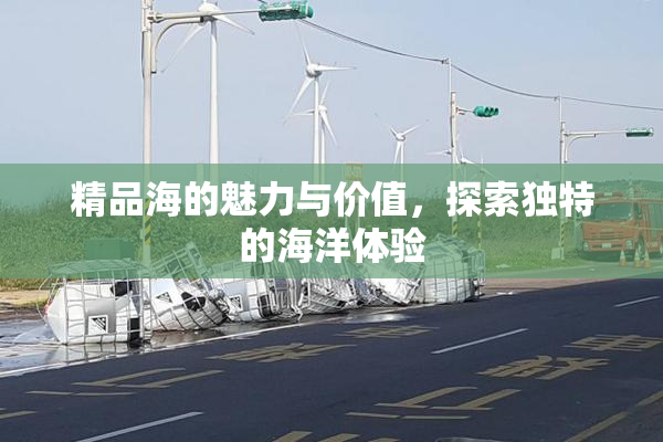 精品海的魅力与价值，探索独特的海洋体验