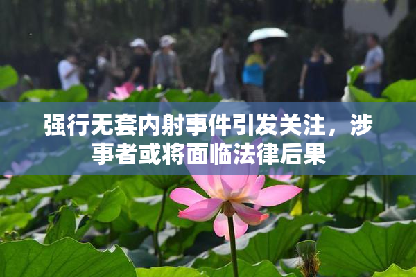 强行无套内射事件引发关注，涉事者或将面临法律后果