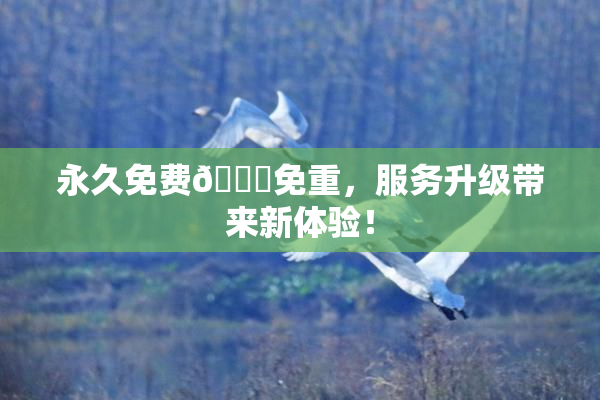 永久免费🔞免重，服务升级带来新体验！