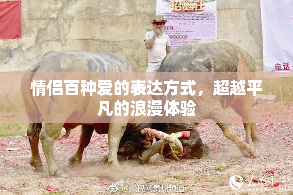 情侣百种爱的表达方式，超越平凡的浪漫体验